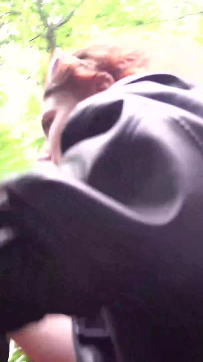 Went to the Waterfall for a Blowjob