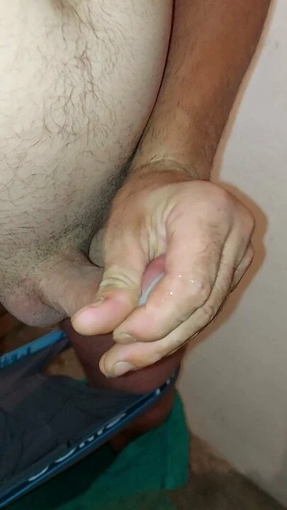 Penis