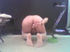 Pregled videozapisa
