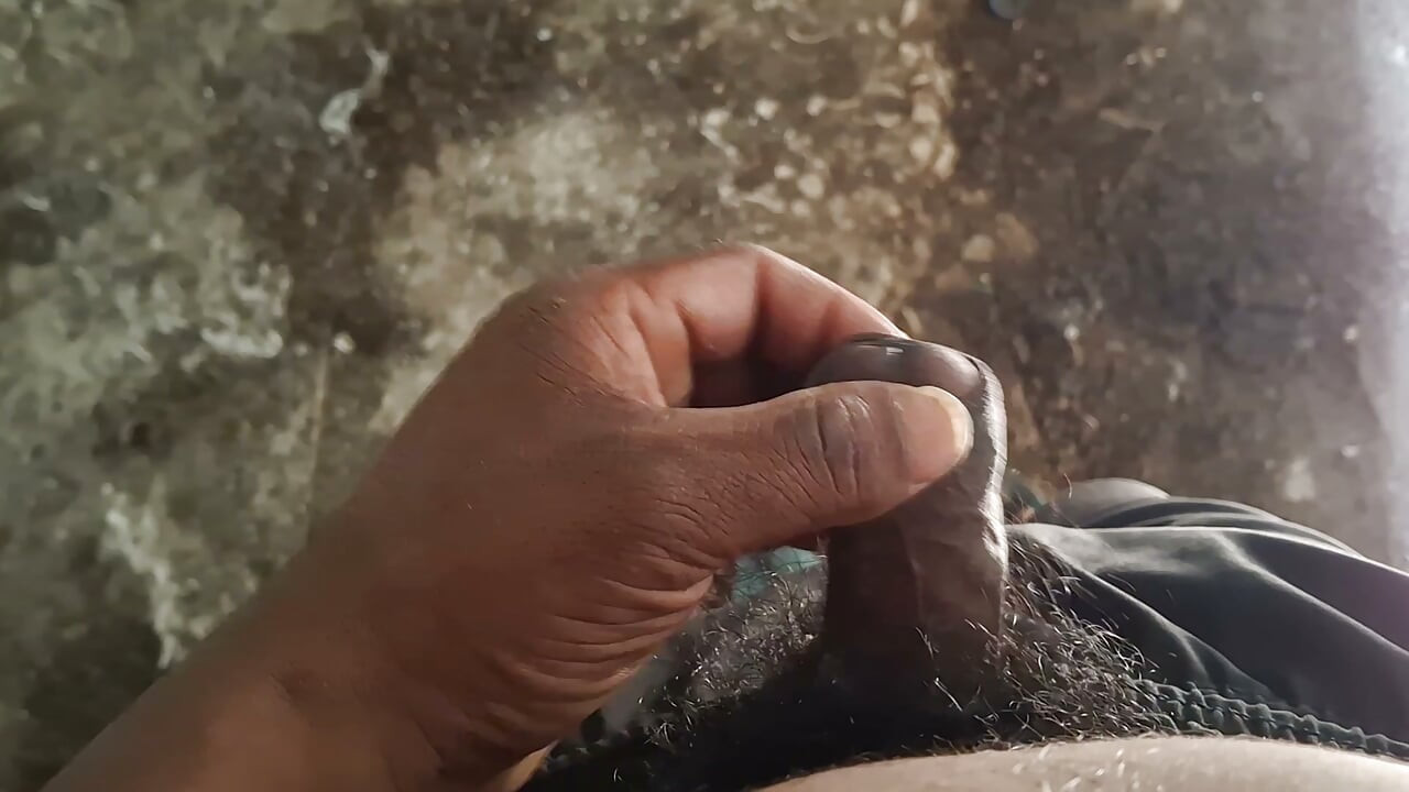 بعد الرجفان لنصف ساعة، خرجت المادة، ولد هندي ديزي