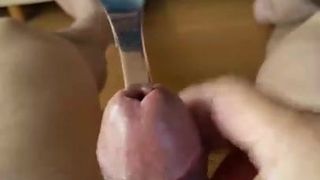 japanese small cock sounding cumshot45
