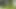 Masturbating By The Pond I