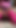 Asian in Pink Thighs Facesitting Slave on the Carpet
