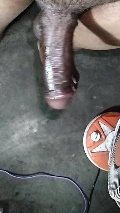 我的大德西帕尼斯，印度雞巴