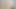 霞ドクター3Dエロ:舌頭舌、手コキ、乳首フェック射精 無検閲