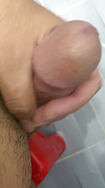 A daisy is in an erect state and it needs a butterfly to insert it so that it can be relieved as needed