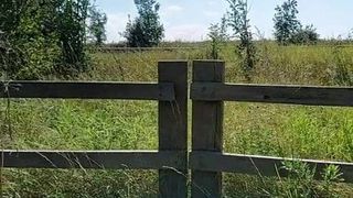 Naked at the side of motorway