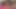 Purple Hair Femboy on a Leash Taking Dildo in Ass and Throat