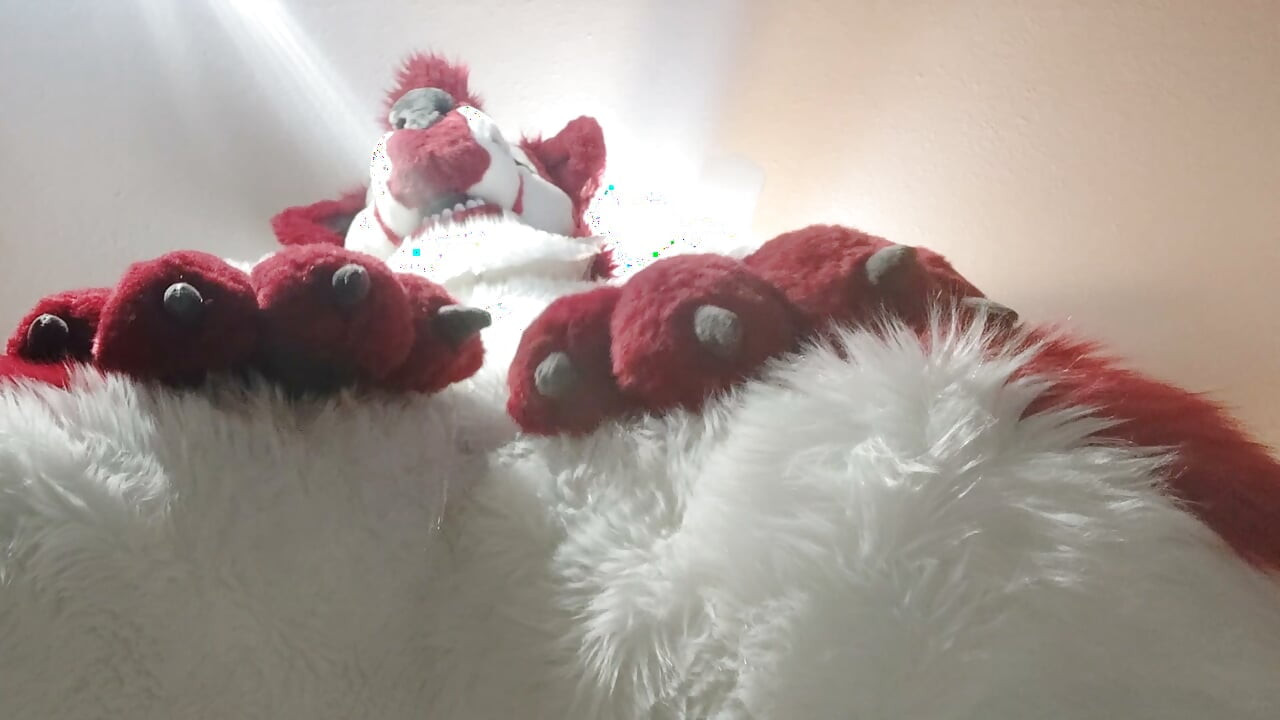 Fursuit omorashi - wetting myself in my full-body murrsuit