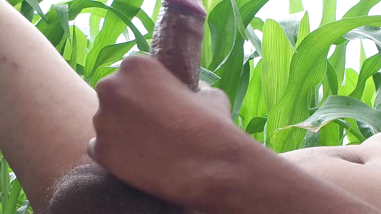 Worldwide Viral Desi Hunk Solo Action Part 4 - Premium Faceless Amateur Close-up Raw Stroking Session 4K