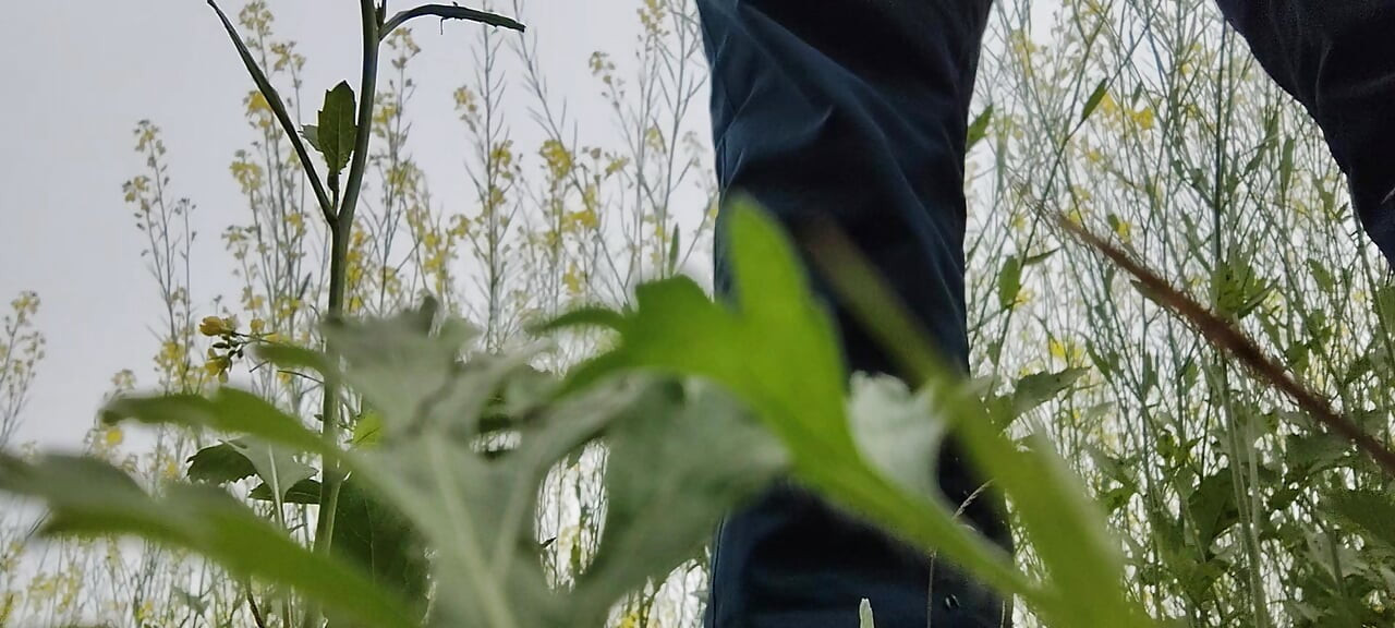 Gaon wali sexy video Jungle mein jakar rang Rasiya