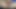 teen 18 yo wet panties masturbate toy hairy retro creamy dripping pussy close up orgasm