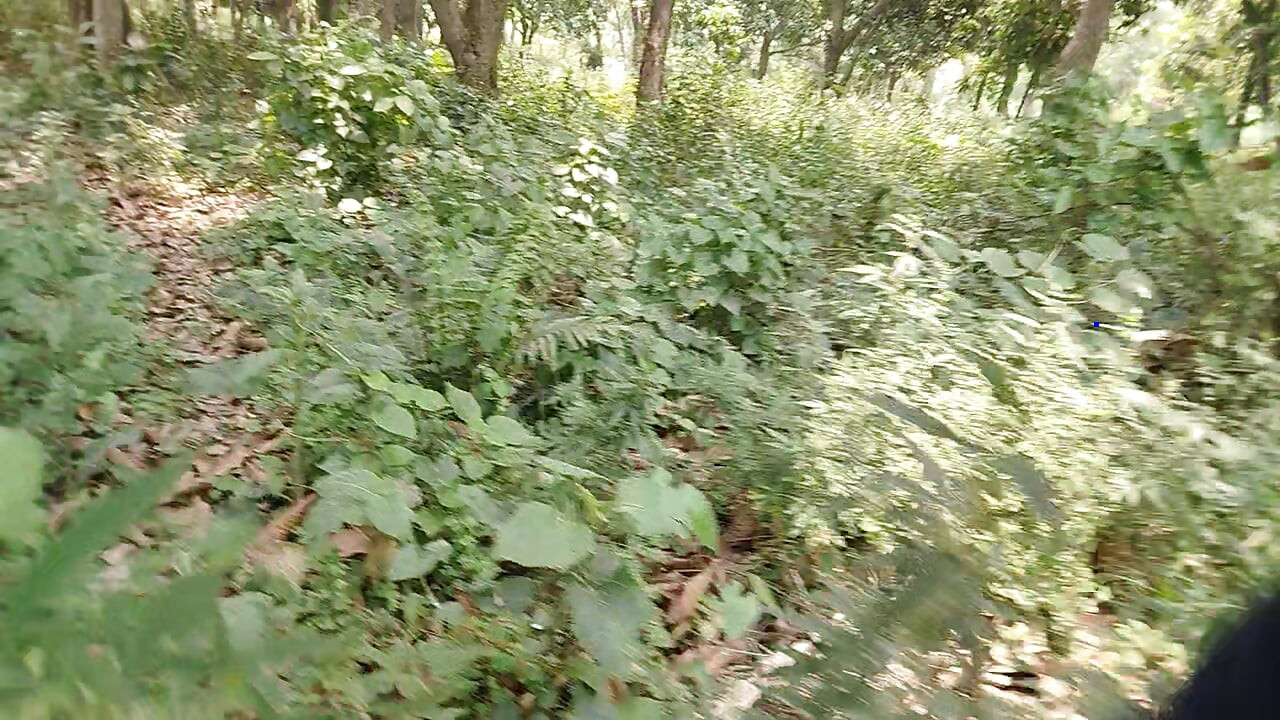 A Asian Boy IN Forest Handjob foking