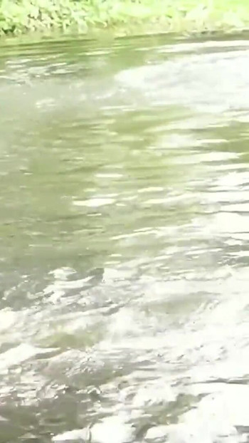 Jaw-dropping moment from "A SEXY COUPLE SHOWER IN RAIN FULL OUTDOOR SEX, HARDCORE SEX"