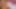 Orta yaşlı seksi kadın göt deliğini sert bir şekilde genişletiyor