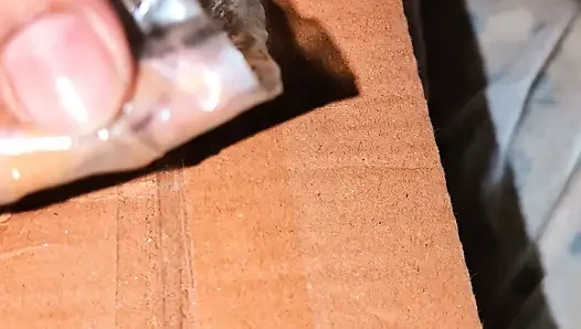 Yeni dildo, amcığımdaki tam güç titreşimi beni penis için azdırdı