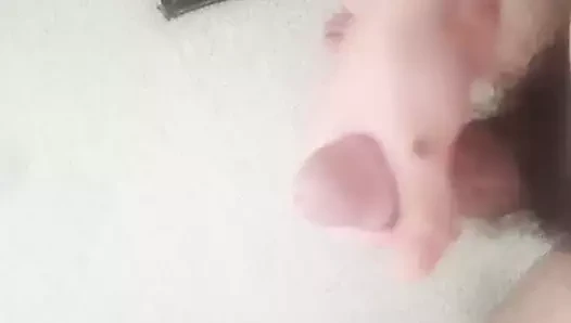Sub obeys