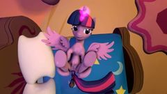 MLP Animation: Twilight's private video