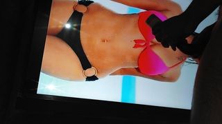 Sunny Leone geneukt in bikini door haar paapi seksteaser
