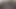Samkitty eats cum