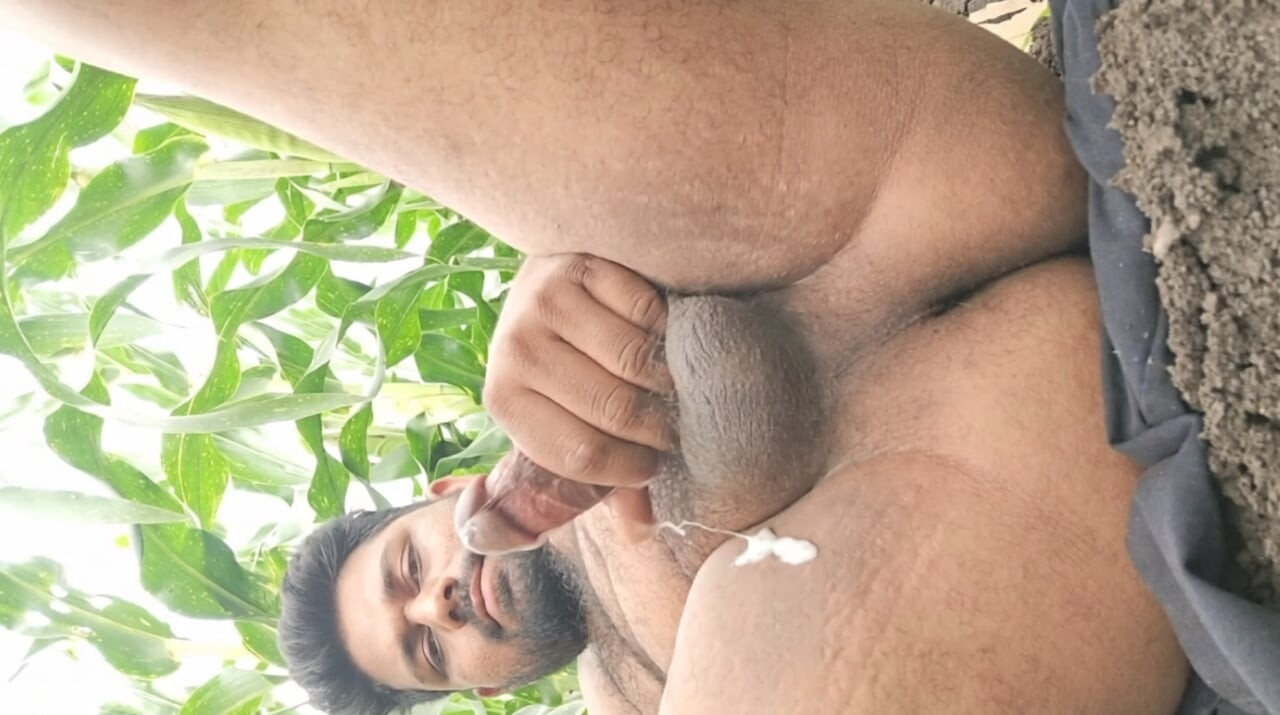 Komm mit meinem Feld Desi style