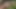 Düz kamera kızları sana ateşli mastürbasyon videoları sunuyor -