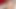 Üniversite öğrencisi web kamerası üzerinde oynuyor