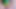 Spielen Sie großen Regenbogen-Dildo furiyssh