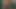 あなたの脳細胞のために