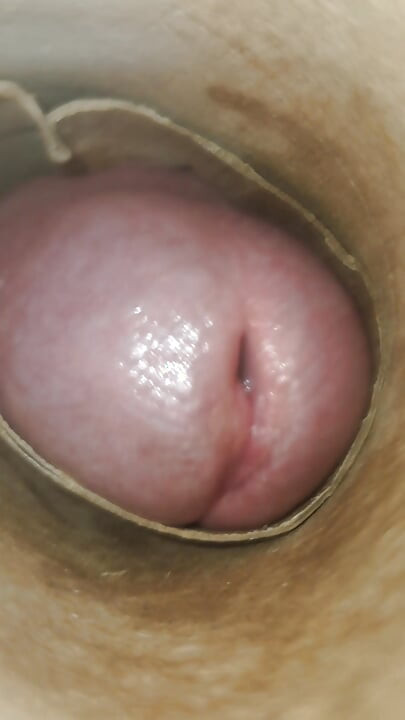 POV: Cummin' Inside of You