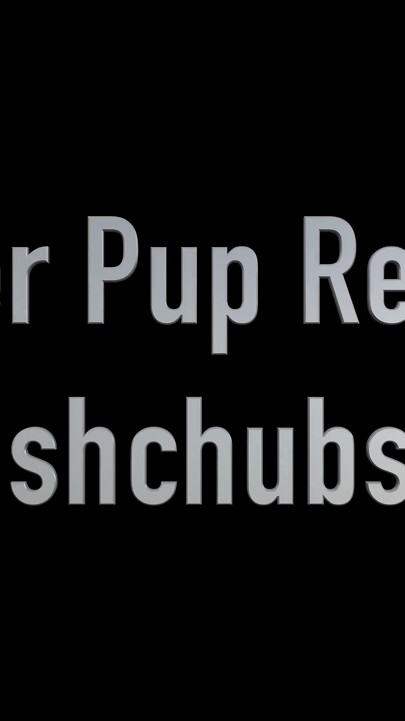 Ginger Pup Returns