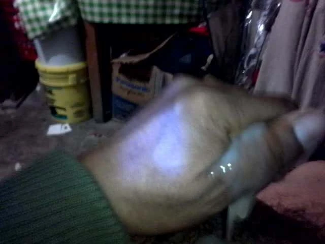 masturbandome