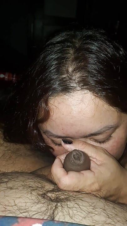 Schwanz wird gewichst und gelutscht