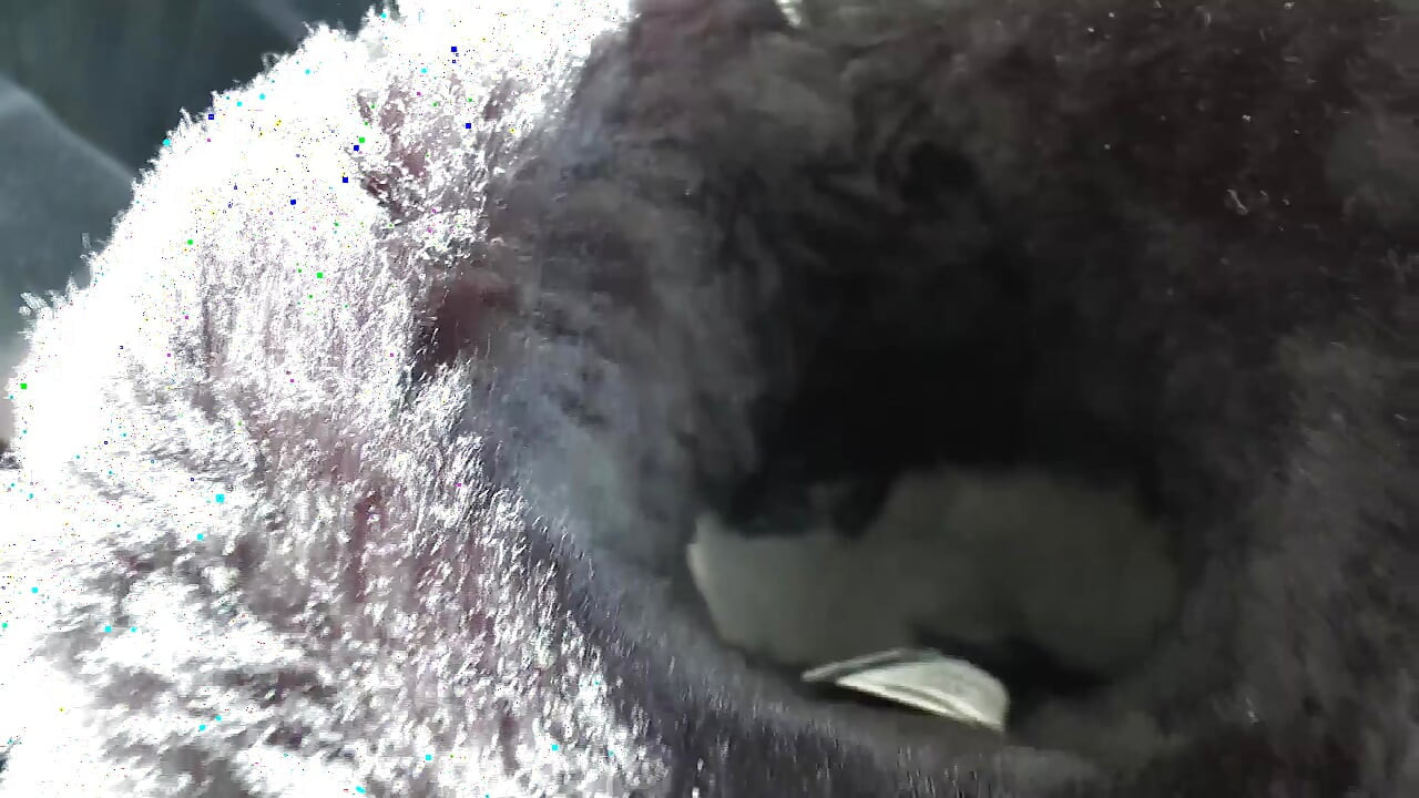 毛皮靴的腳非常臭！嗅靴子和戀足癖操，維多利亞夫人瓦倫特