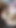 Spectacular moment from "German MILF Stella Star and Girlfriend Seduce to Foursome"