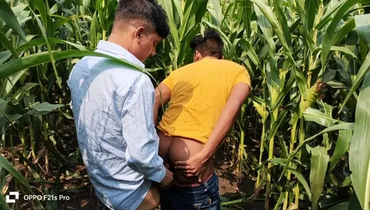 Indyjski gej - dziś widziałem chłopca i nauczyciela na polu kukurydzy
