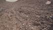 Pratinjau video