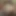 Mr Creampies doğum günü ikramı