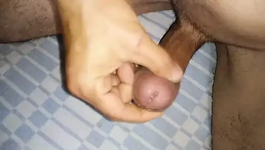Bulgaristan