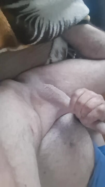 Shaven cock