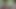 Shutterbug (Silent)
