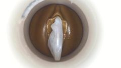 Preservativo feminino parte 2 por esperma cam man