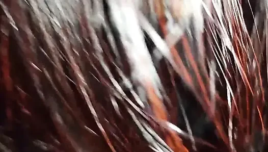 Eş değiştirme kulübünün deliğinde yabancıların yarağını emdim!