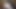 الملاك الآسيوي 25133