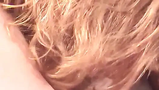 Harika bir dörtlü nostaljik seannın tadını çıkarmaya hazırlanın