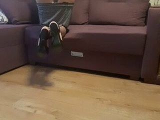 want me in sofa?
