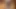 Amateur close up masturbation of the hairy pussy slut with her dildo
