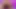 Tanrıça rosie reed abanoz göt clapping twerking ince kalın