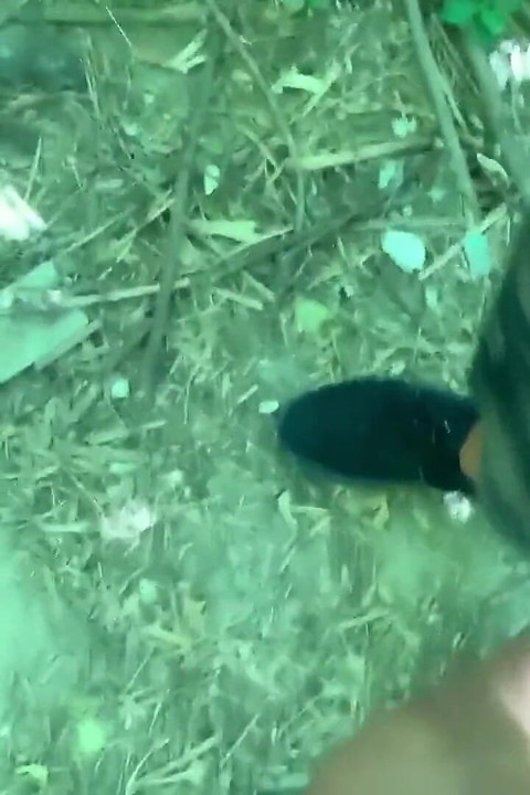 Amateur Teen Big Cumshot Park
