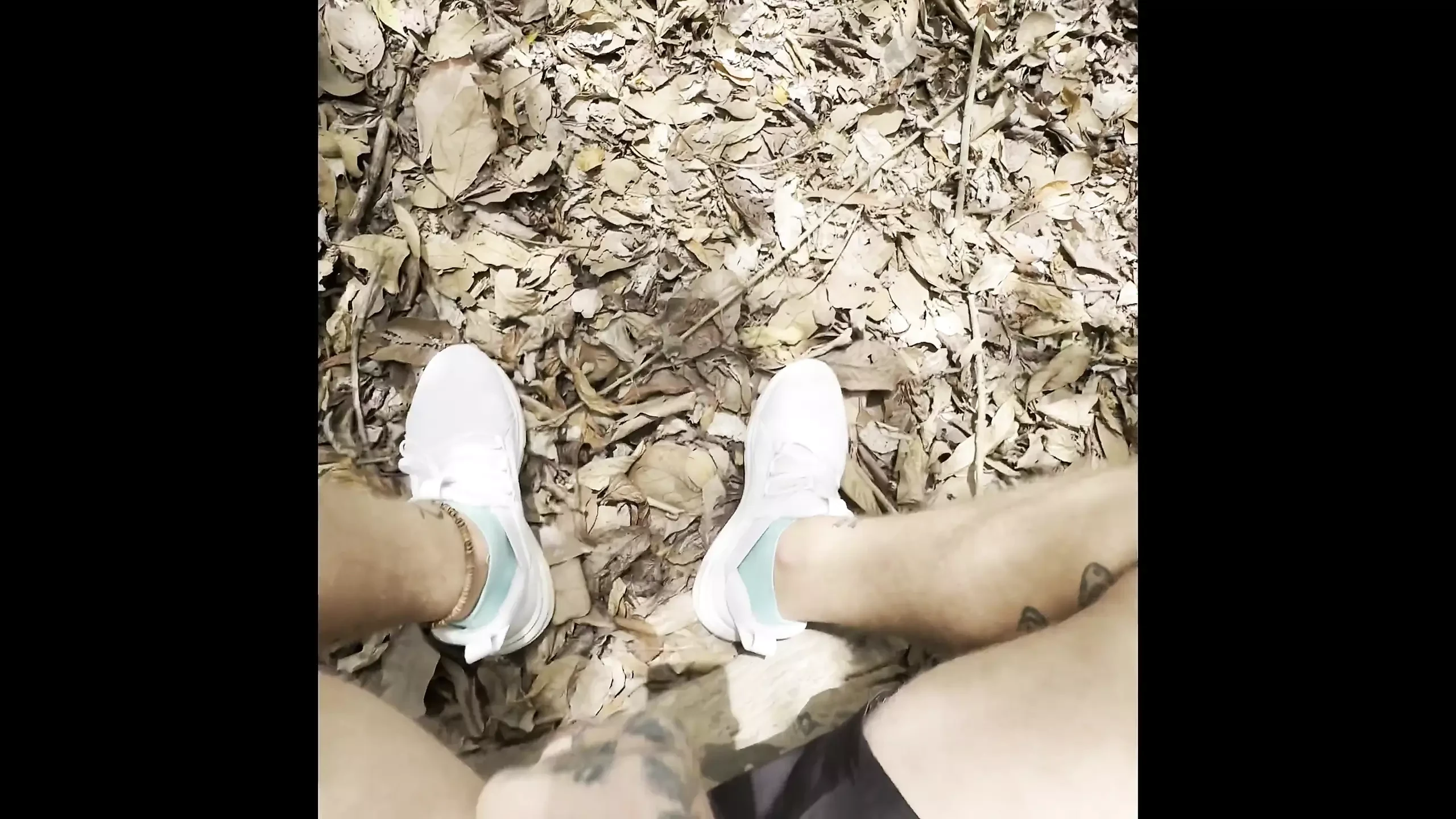Caminando por el bosque y sosteniendo una polla en mi mano